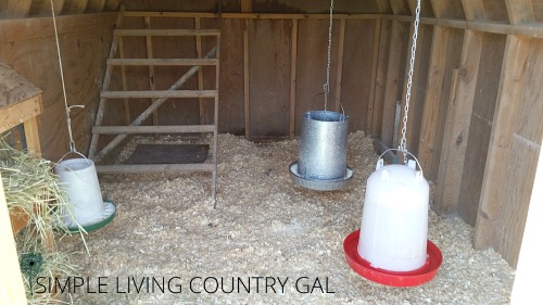 feeder and waterer in a chicken coop with a roost and wood chips on the floor 