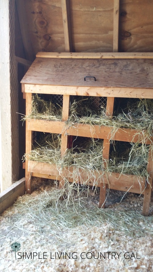 diy chicken nesting boxes full of hay in a chicken coop 