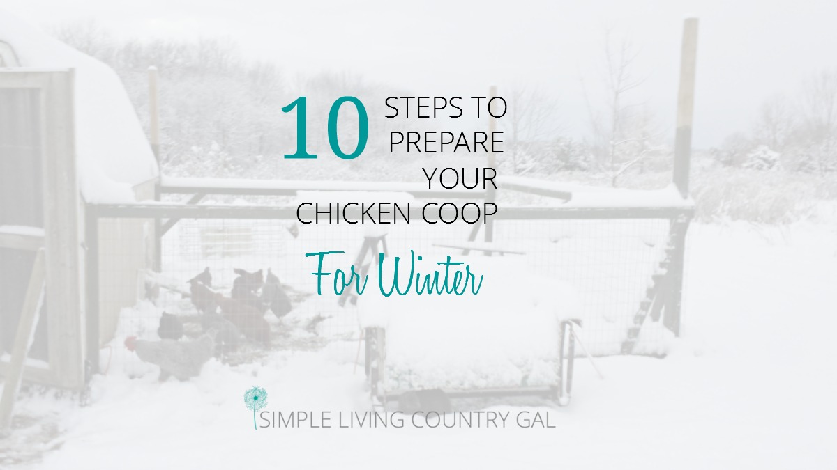 10 Steps To Prepare Your Chicken Coop For Winter