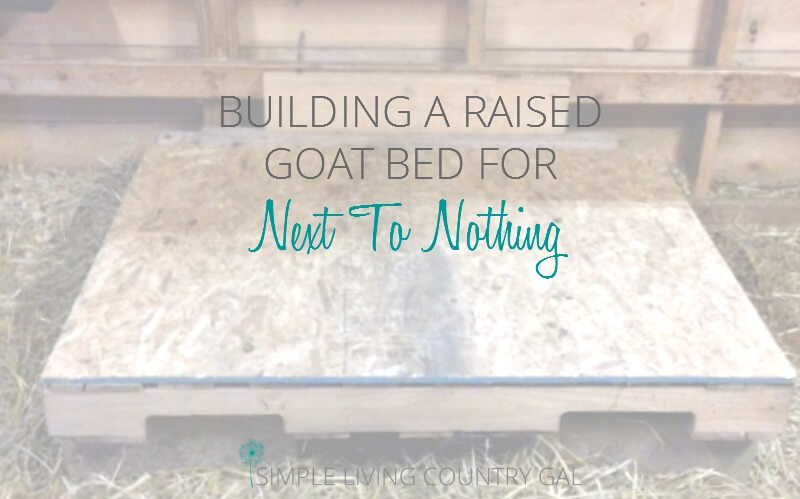 Building A Raised Goat Bed DIY | Simple Living Country Gal