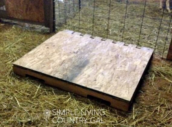 A raised goat bed doesn't need to be fancy and this one definitely isn't. But it is cheap!