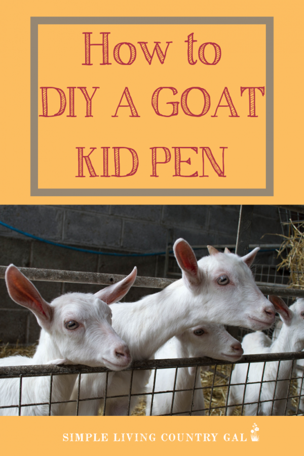 How To Set Up A Diy Goat Kid Pen 