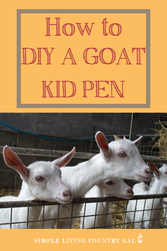 how to make a kid pen for your goat kids