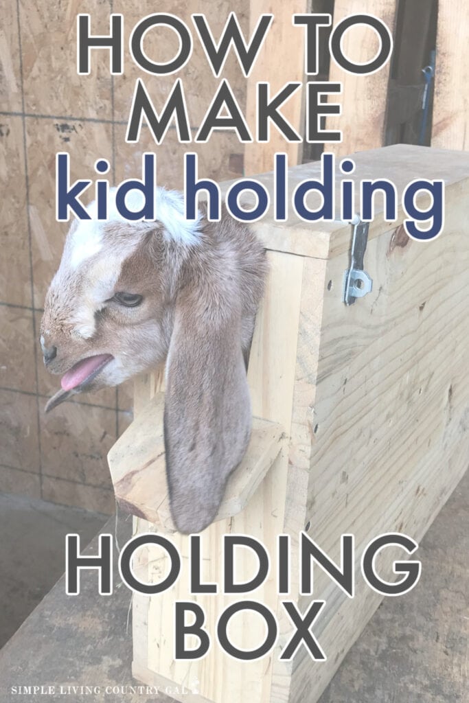 building a kid holding box
