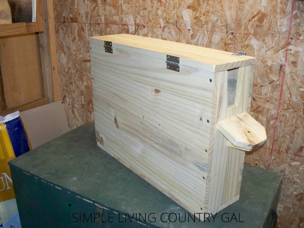 the side view of a goat kid box on a green table