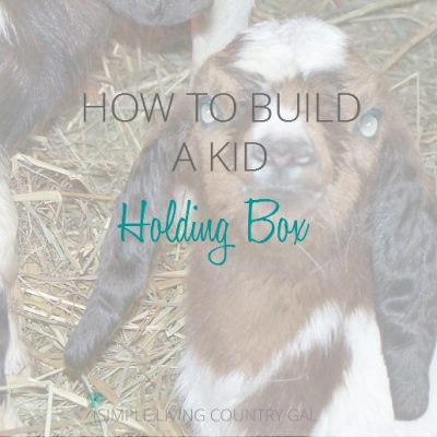 Why you need a kid holding box and how to make one. A step by step guide.