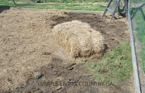 bale of straw in a coop. tips on how to keep chickens dry in a wet coop