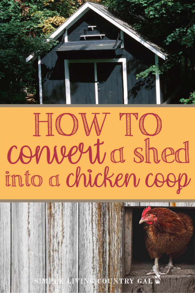 Converting A Shed Into A Chicken Coop Simple Living 