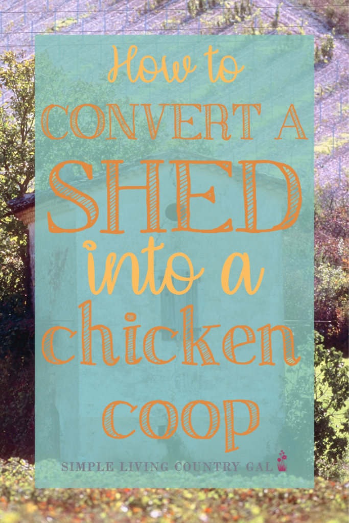 Converting A Shed Into A Chicken Coop