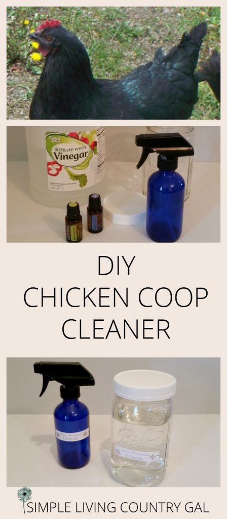 DIY Chicken Coop All Purpose Cleaner Simple Living 