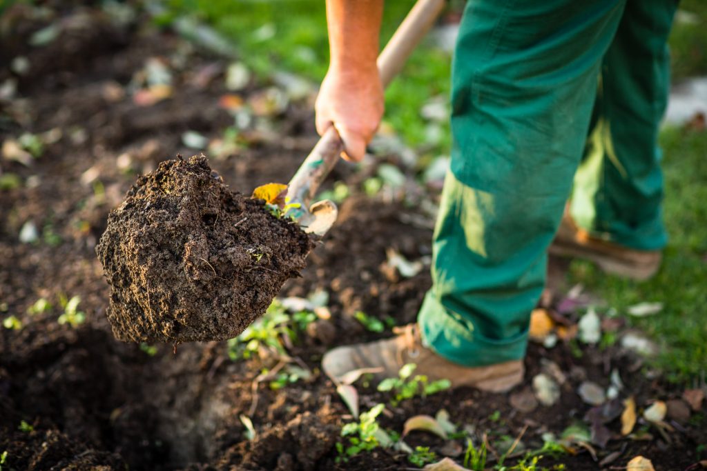 When it comes to starting a garden, slow and steady wins the race. When prepping your soil, allow the soil to rest in-between stages. 