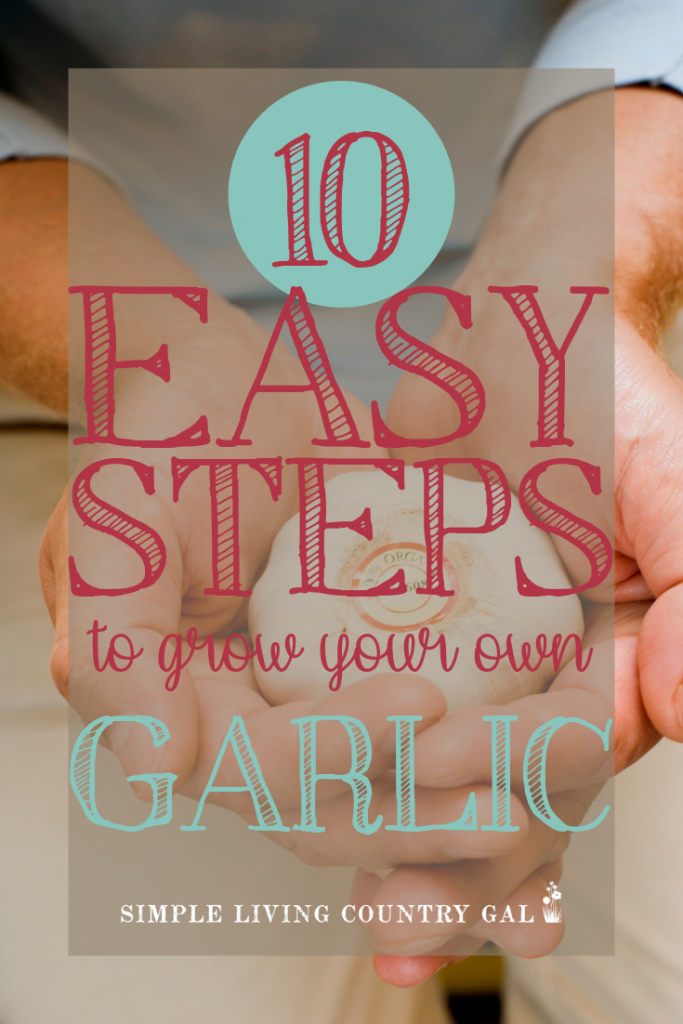 Grow_Your_Own_Garlic_pin
