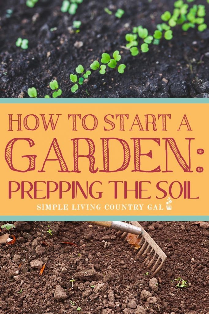 Before you buy plant any seeds in your garden this year, be sure your soil is in the best shape possible. Follow these simple tips to improve your garden soil and grow a better garden this season. Backyard gardening tips you can follow to grow big vegetables this gardening season. #gardening #gardeningforbeginners #gardensoil #slcg