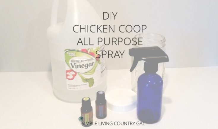 Use this simple natural and effective cleaner for your chicken coop. Spray on all surfaces to disinfect and deter pests.