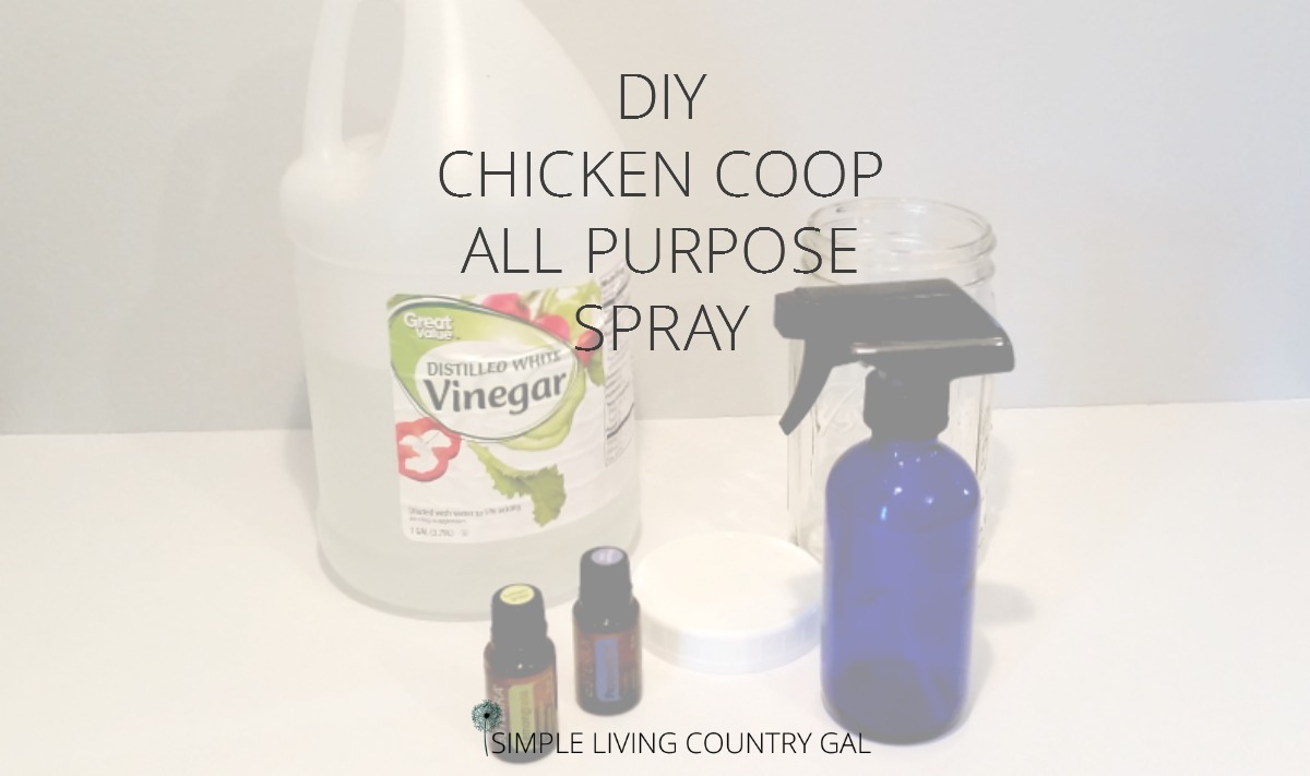 Diy Chicken Coop All Purpose Cleaner Simple Living Country Gal