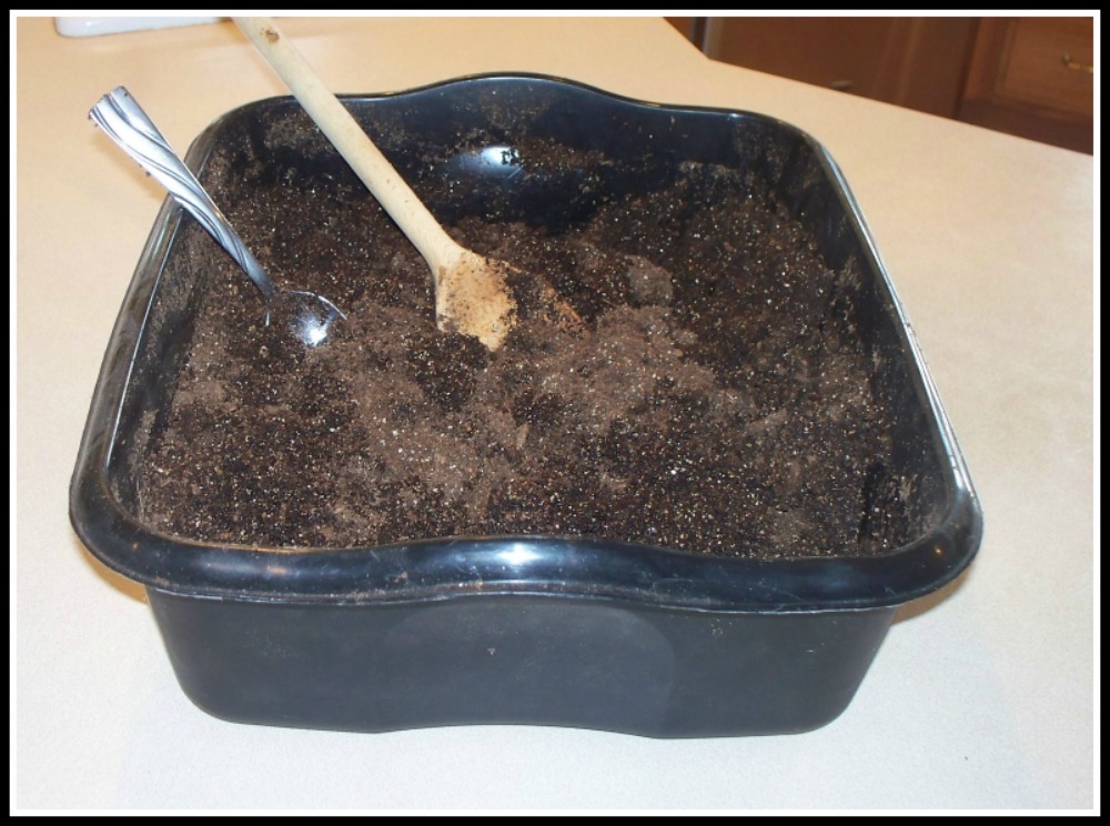 dish of soil used to start plants from seed for an organic garden