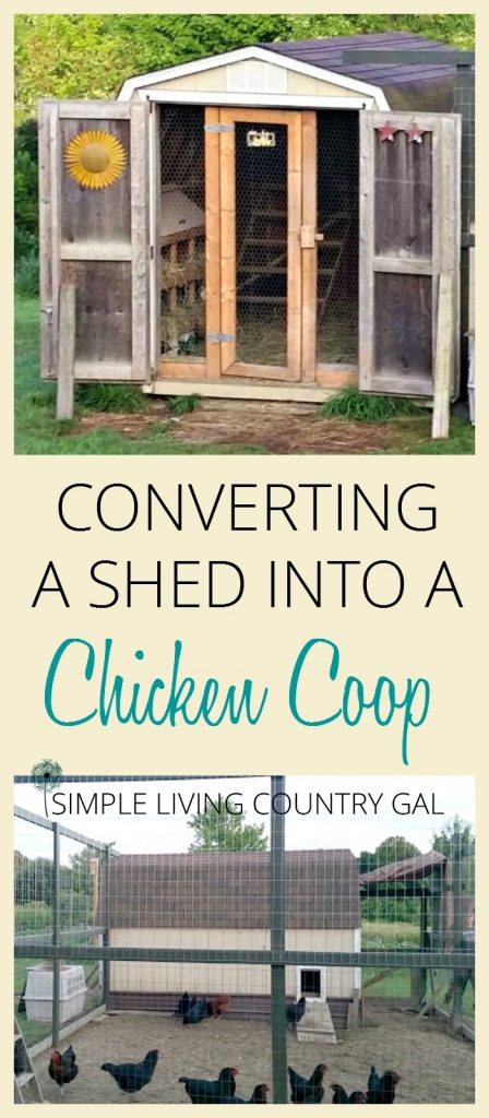 How to turn a shed into a chicken coop. Your DIY guide on how to make use of what you have on hand. Save money and convert a shed into a full chicken coop. A step by step guide. #raisingchickens #chickens #backyardchickens #slcg