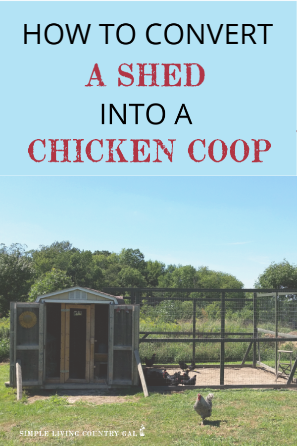 How to turn a shed into a chicken coop. Your DIY guide on how to make use of what you have on hand. Save money and convert a shed into a full chicken coop. A step by step guide. #raisingchickens #chickens #backyardchickens #slcg