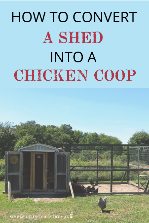 Converting A Shed Into A Chicken Coop Simple Living Country Gal