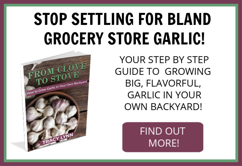 Love garlic but don't have a garden? No problem! This eBook will walk you through how to set up a small garden full of delicious and beautiful garlic!