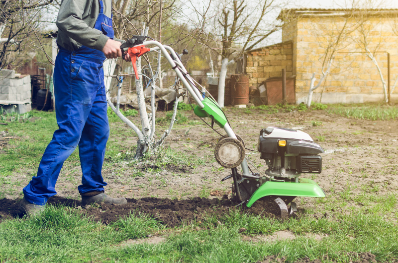 Prepping your soil includes using a rototiller to remove any chunks of soil that would be hard for the plants to grow around. 