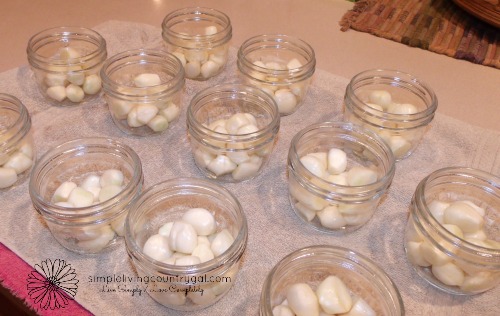 Jars of fresh garlic sitting on a counter waiting to be preserved. 
