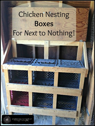 Building a Chicken Nesting Box