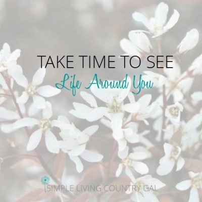 take time to see life around you