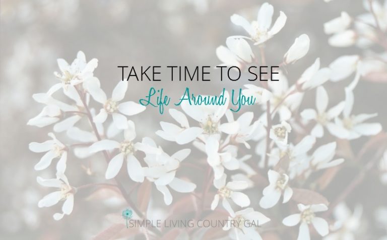 Take Time To See Your Life Around You