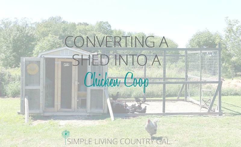 Here is a step by step guide to converting a shed into a coop. 