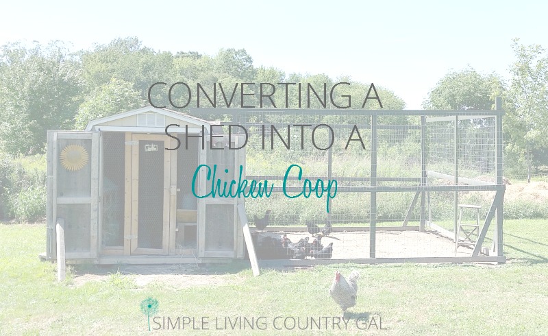 Converting A Shed Into A Chicken Coop Simple Living Country Gal