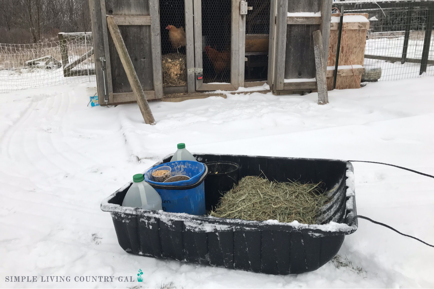 using a sled for chores. Convert a shed into a chicken coop