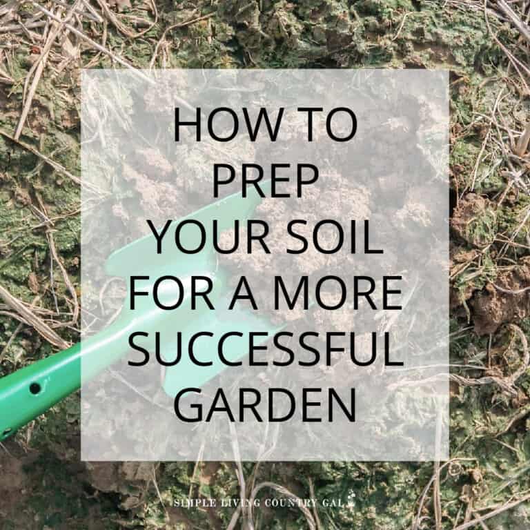 How to Start a Garden – Prepping Your Soil