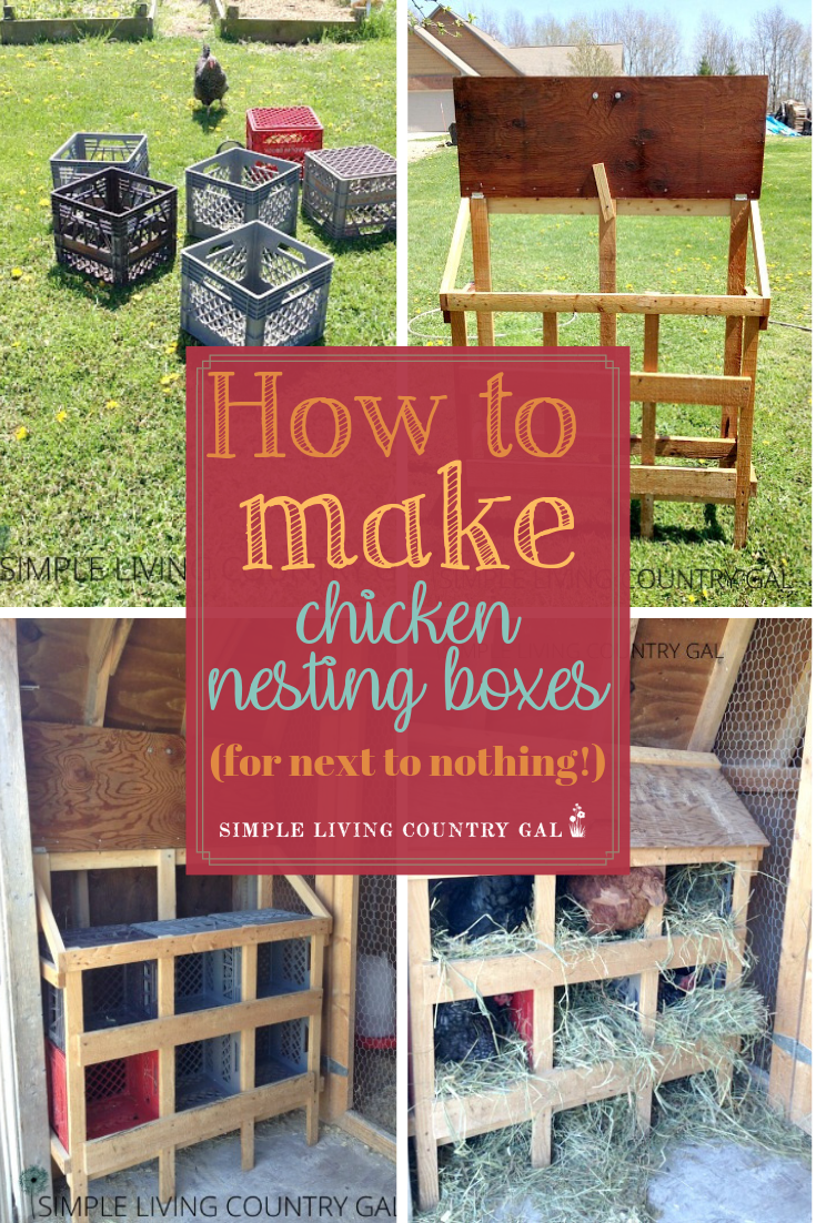 Building Milk Crate Chicken Nesting Boxes | Simple Living Country Gal