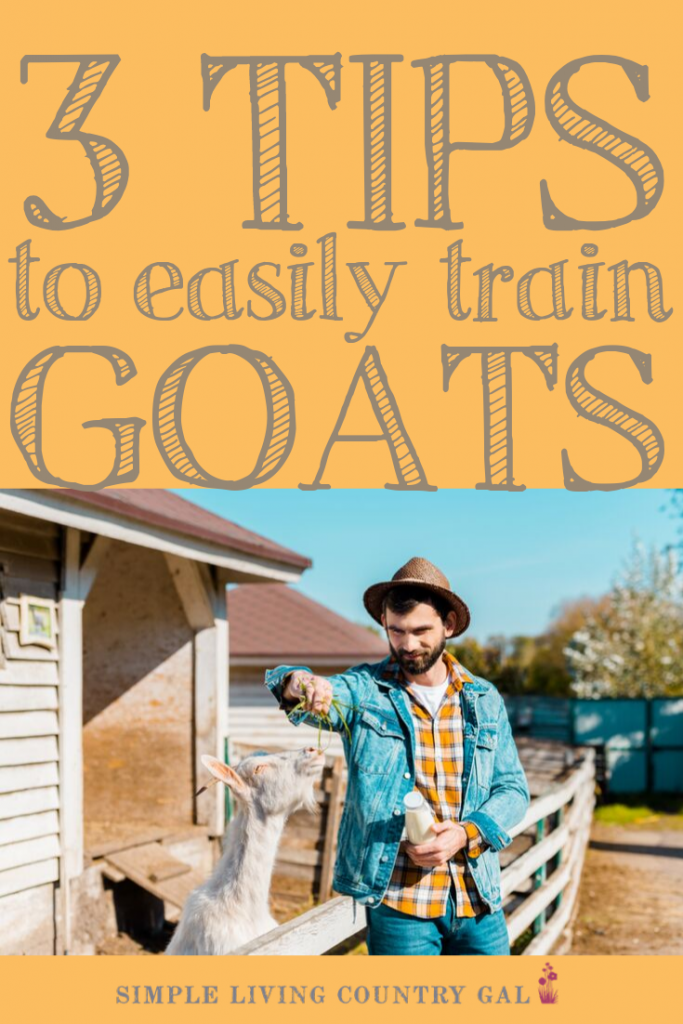 how to train your goats