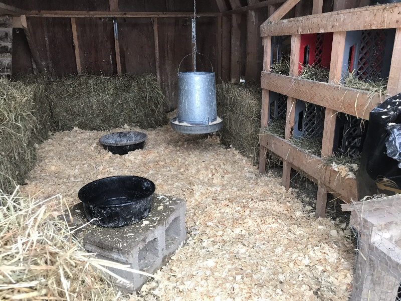 NESTING BOXES IN A CHICKEN COOP. DIY MILK CRATE BOXES FOR CHICKENS