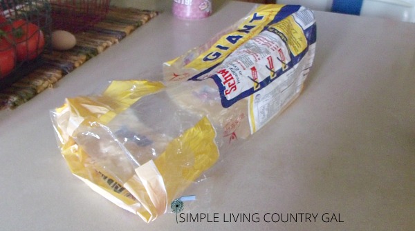 a fruit fly trap sitting a counter. A bread bag with a banana piece sitting inside 