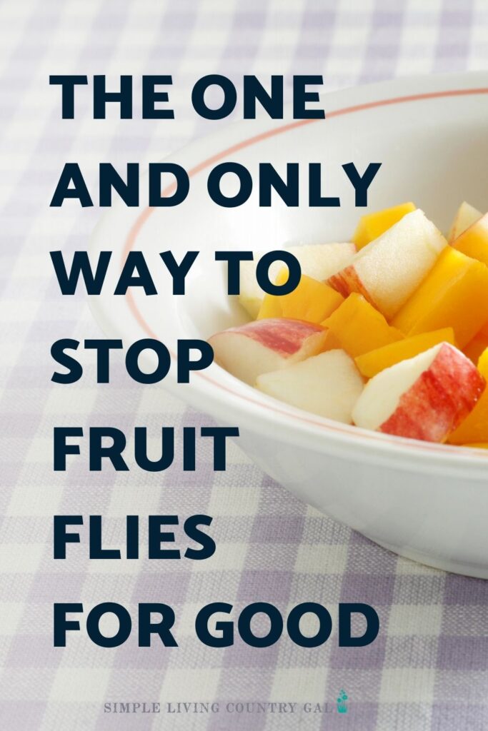 How to Get Rid of Fruit Flies: Simple and Effective Methods