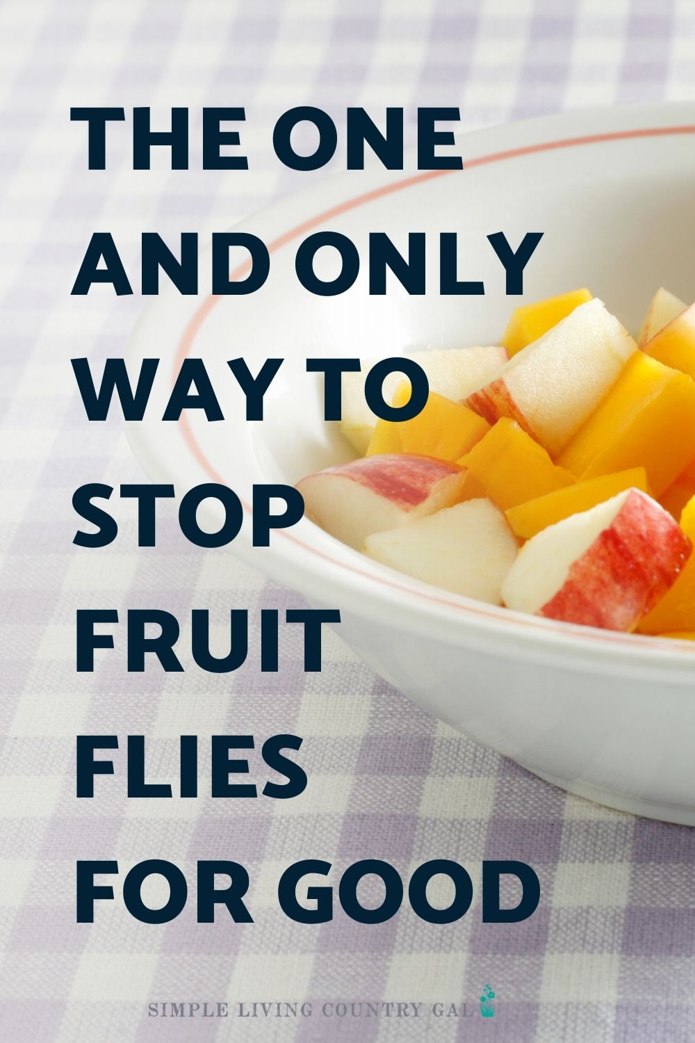 how-to-get-rid-of-fruit-flies