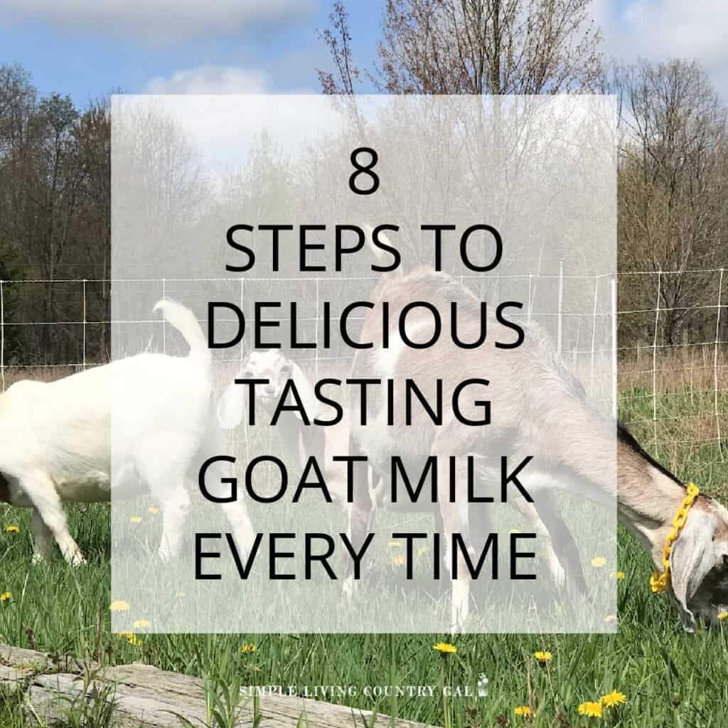 Dairy Goats Archives Simple Living Country Gal