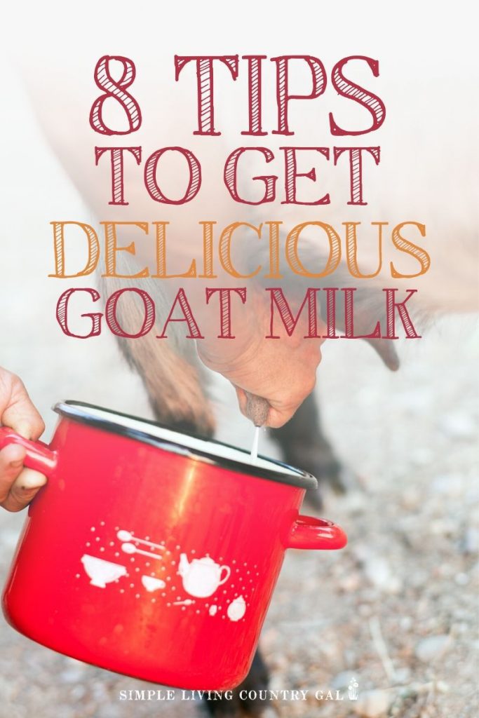 8 tips for the delicious tasting goat milk