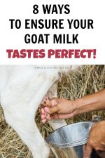 goats simplelivingcountrygal dairy tasting milking raising