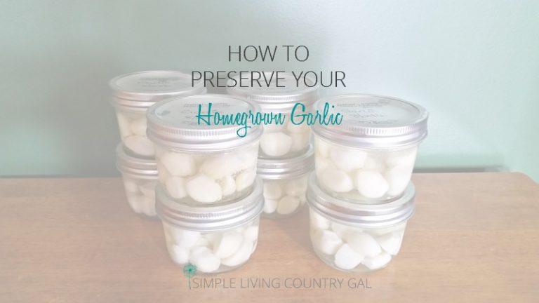 Preserving Garlic Cloves From The Garden