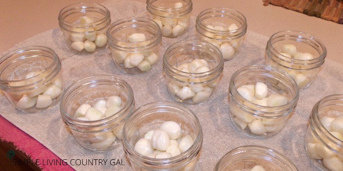 Garlic cloves in small mason jars. Step by step guide on preserving garlic cloves