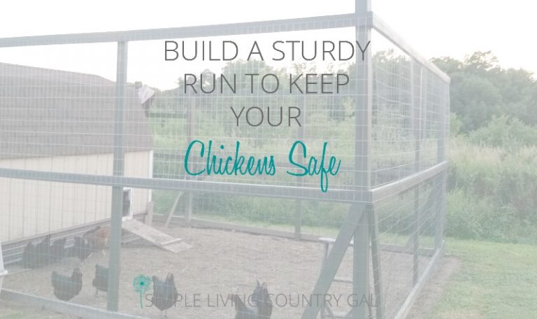 How to Build a Chicken Run to Keep Your Chickens Safe From Predators.