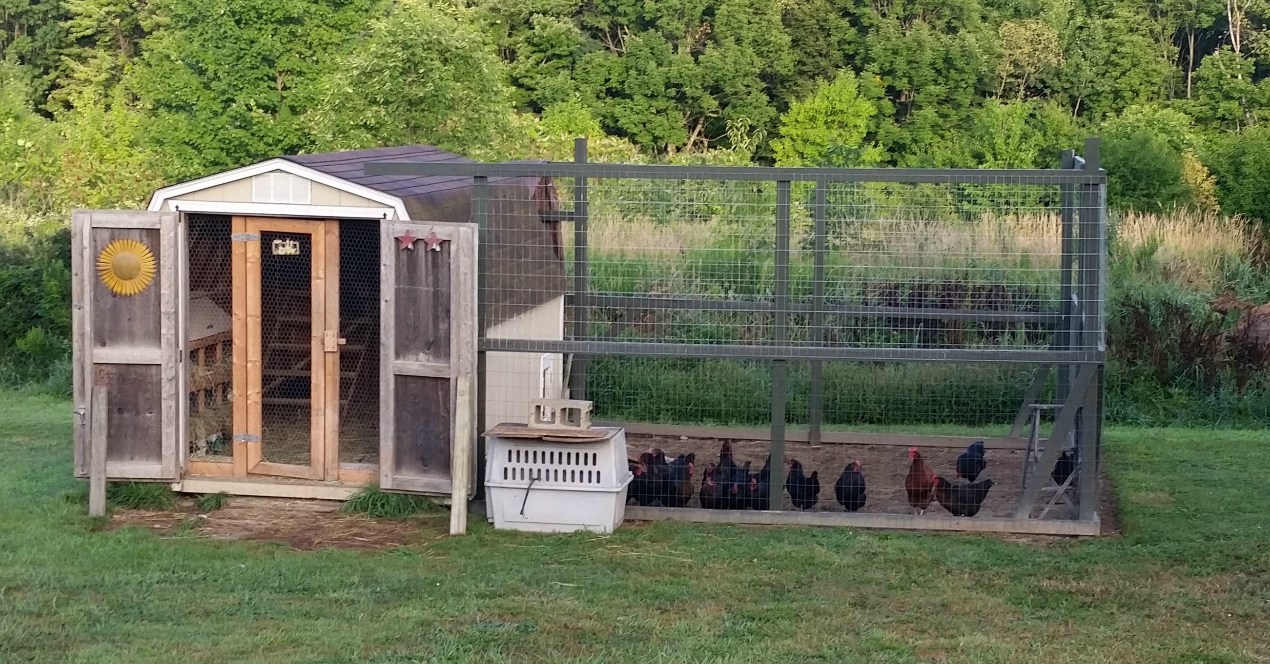 Converting A Shed Into A Chicken Coop Simple Living Country Gal