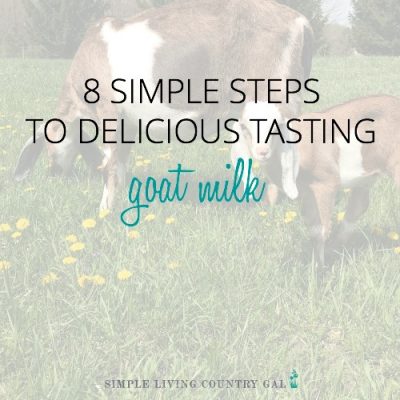 8 steps to delicious tasting goat milk every time