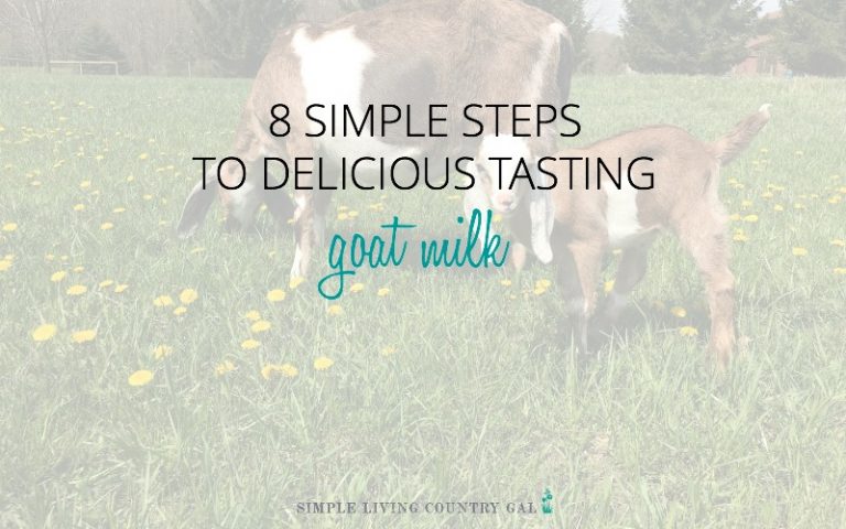 8 Super Easy Steps to Delicious Tasting Goat Milk