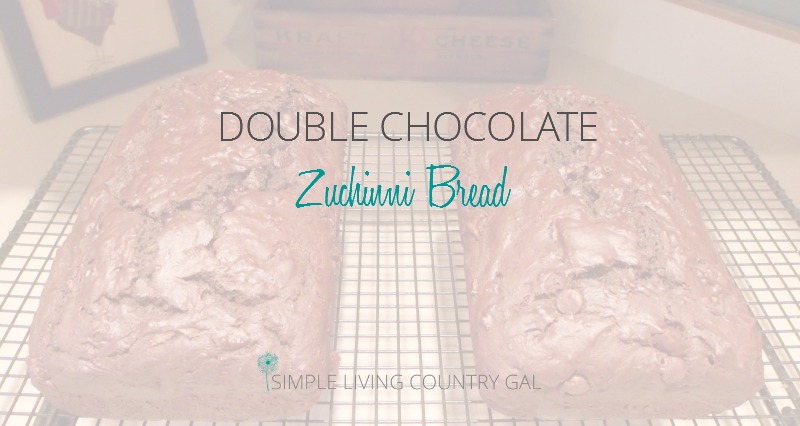 If you like chocolate, well you are going to love this zucchini bread recipe!