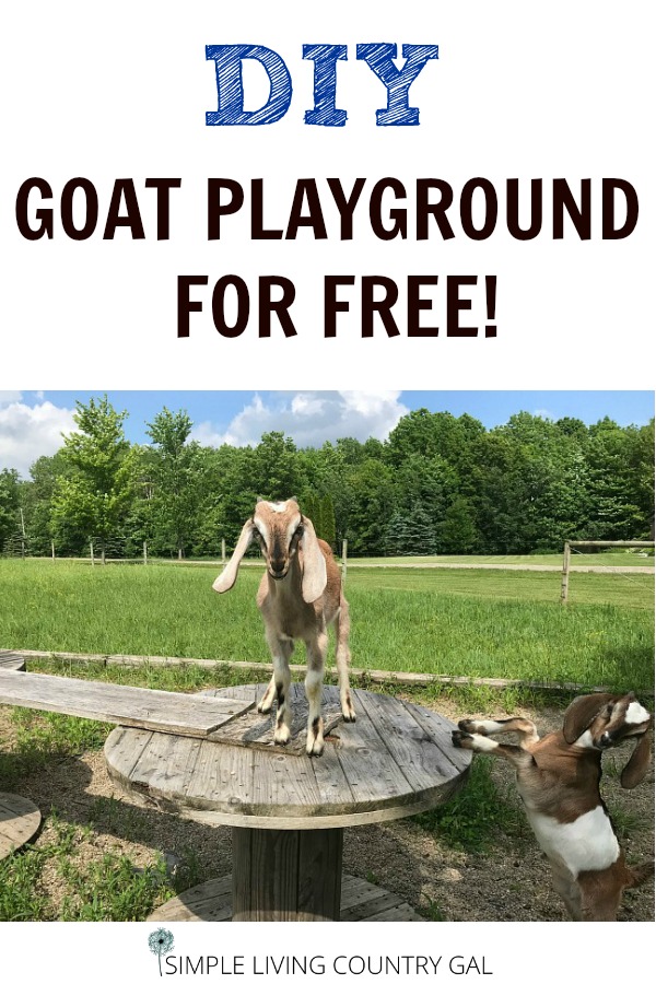 Building A Free DIY Goat Playground Step by Step Simple Living